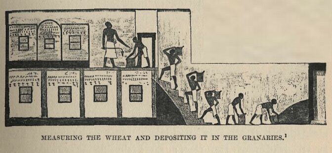 061.jpg Measuring the Wheat and Depositing It in The
Granaries 
