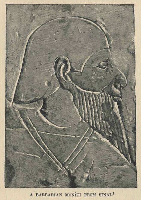 156.jpg a Barbarian Monti from Sinai 
