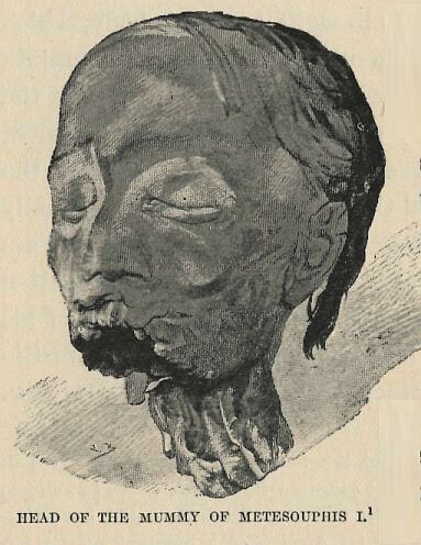 282.jpg Head of the Mummy Of Metesouphis I 
