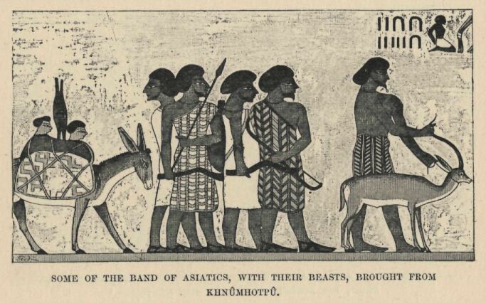 326.jpg Some of the Band Of Asiatics, With Their Beasts,
Brought from Khnmhotp 
